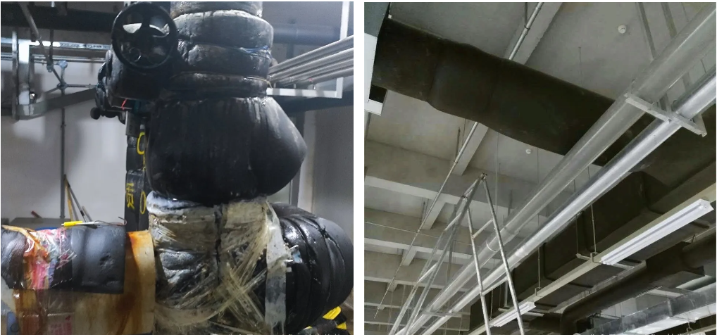 Z6��������ʱ���й����ٷ���վ